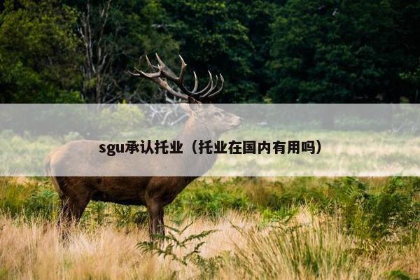 sgu承认托业（托业在国内有用吗）