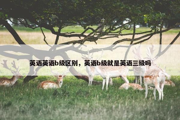 英语英语b级区别，英语b级就是英语三级吗