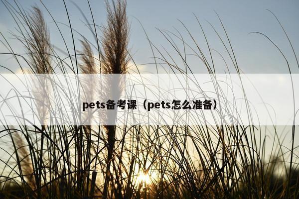 pets备考课（pets怎么准备）