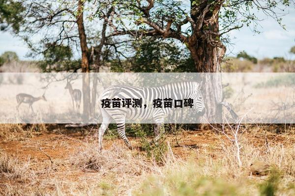 疫苗评测，疫苗口碑