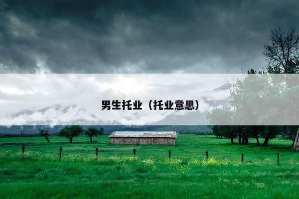 男生托业（托业意思）