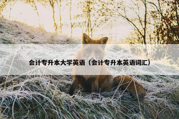 会计专升本大学英语（会计专升本英语词汇）