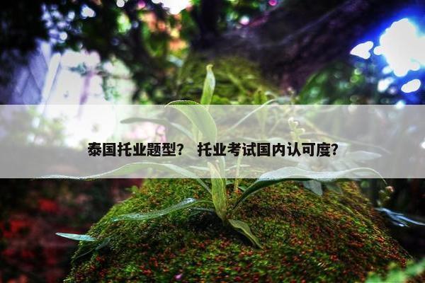 泰国托业题型？ 托业考试国内认可度？