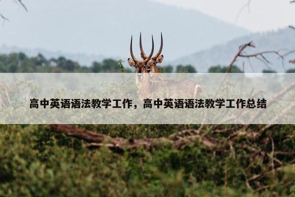 高中英语语法教学工作，高中英语语法教学工作总结