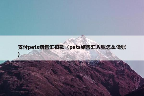 支付pets结售汇扣款（pets结售汇入账怎么做账）