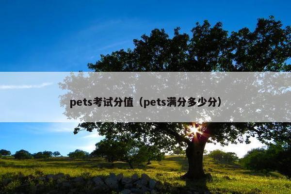 pets考试分值（pets满分多少分）