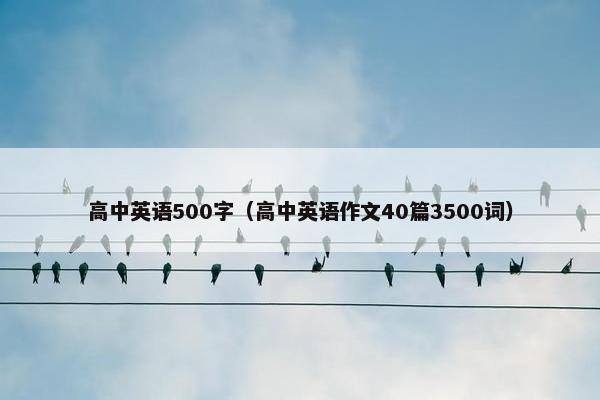 高中英语500字（高中英语作文40篇3500词）