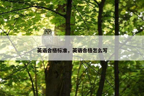 英语合格标准，英语合格怎么写