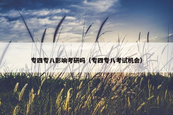 专四专八影响考研吗（专四专八考试机会）