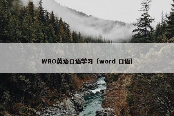 WRO英语口语学习（word 口语）