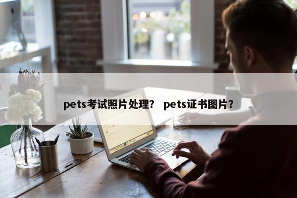pets考试照片处理？ pets证书图片？