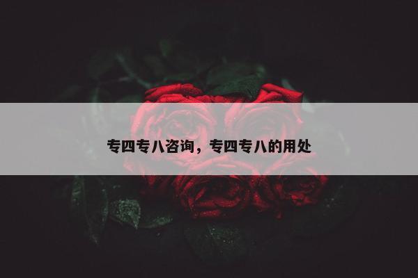 专四专八咨询，专四专八的用处