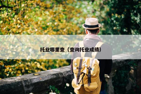 托业哪里查（查询托业成绩）