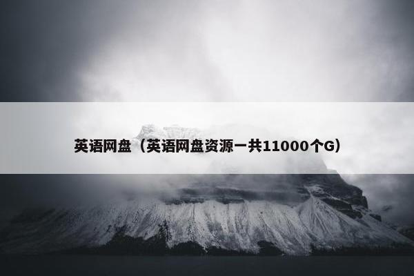 英语网盘（英语网盘资源一共11000个G）