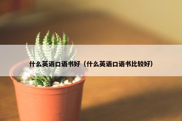 什么英语口语书好（什么英语口语书比较好）