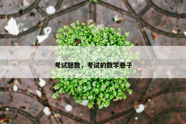 考试题数，考试的数学卷子