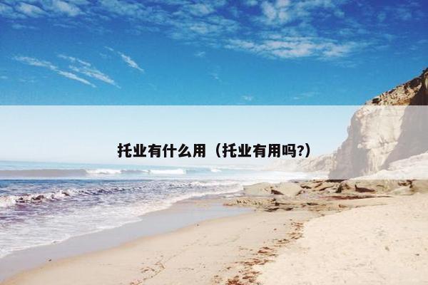 托业有什么用（托业有用吗?）