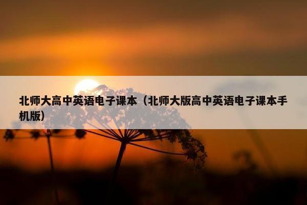 北师大高中英语电子课本（北师大版高中英语电子课本手机版）