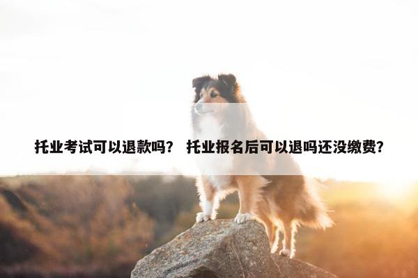 托业考试可以退款吗？ 托业报名后可以退吗还没缴费？