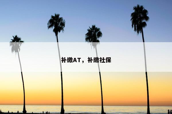 补缴AT，补缴社保