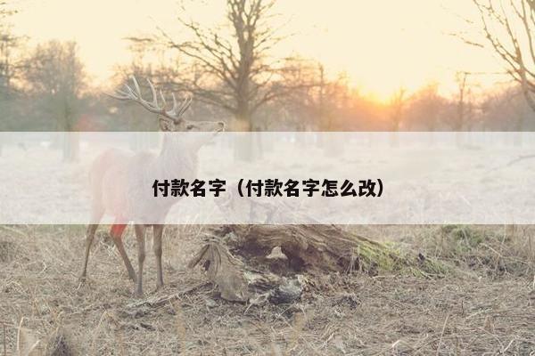 付款名字（付款名字怎么改）