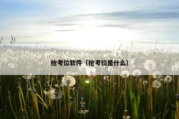 抢考位软件（抢考位是什么）