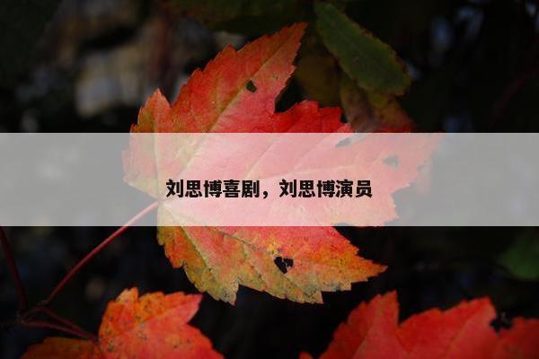 刘思博喜剧，刘思博演员