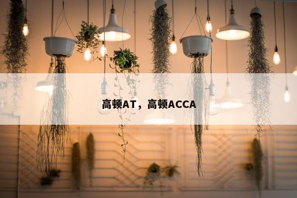 高顿AT，高顿ACCA