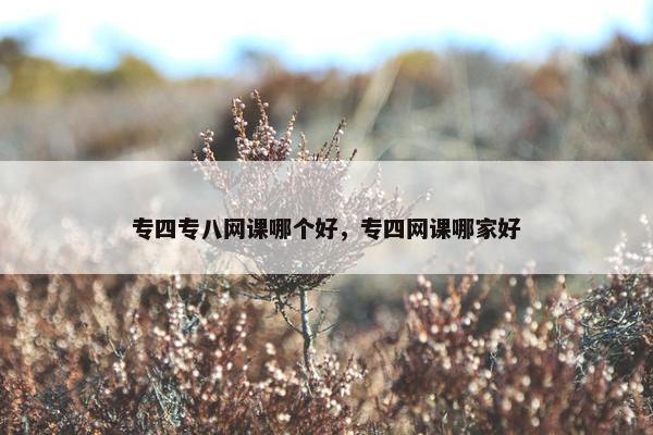 专四专八网课哪个好，专四网课哪家好