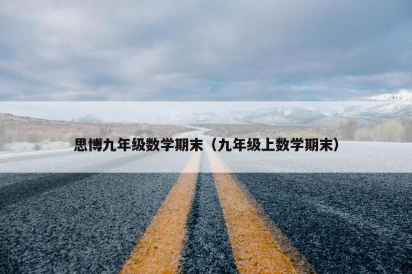 思博九年级数学期末（九年级上数学期末）