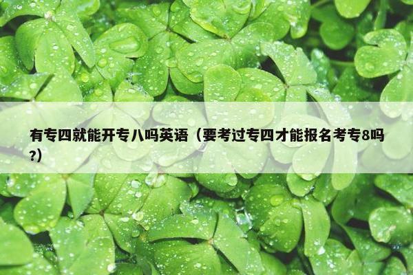 有专四就能开专八吗英语（要考过专四才能报名考专8吗?）