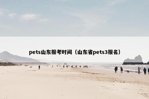 pets山东报考时间（山东省pets3报名）