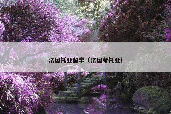 法国托业留学（法国考托业）