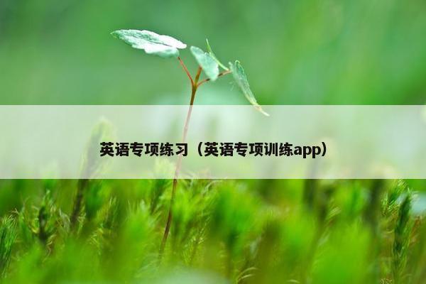 英语专项练习（英语专项训练app）