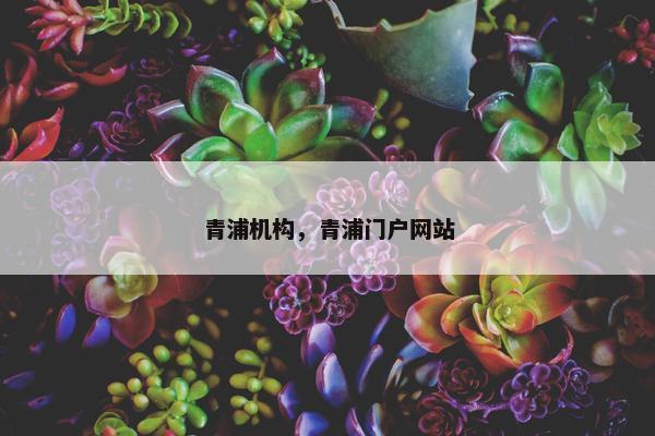 青浦机构，青浦门户网站