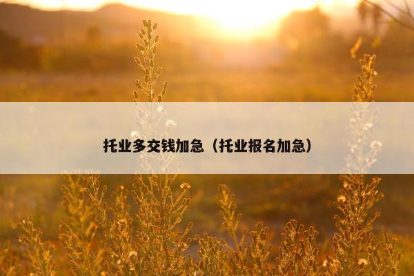 托业多交钱加急（托业报名加急）