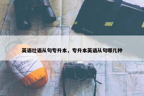 英语壮语从句专升本，专升本英语从句哪几种