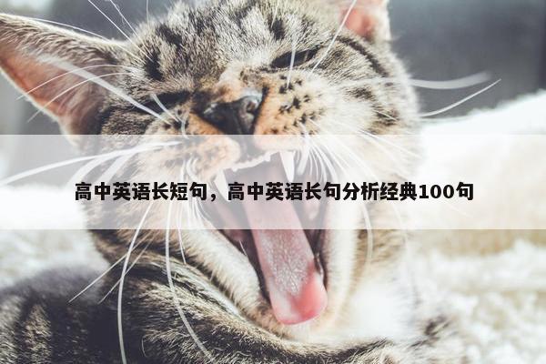 高中英语长短句，高中英语长句分析经典100句