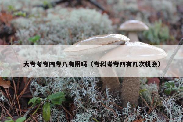 大专考专四专八有用吗（专科考专四有几次机会）