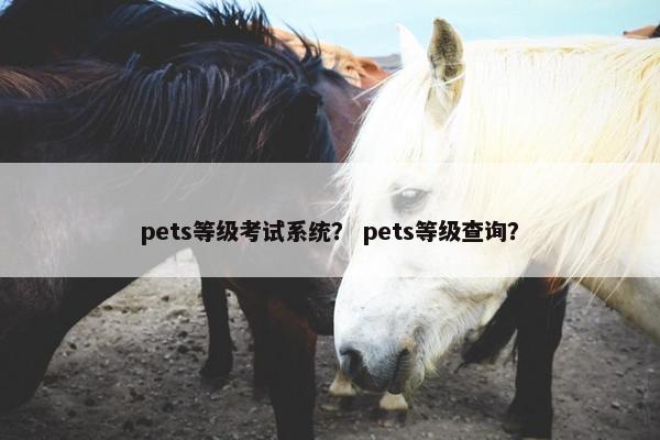 pets等级考试系统？ pets等级查询？