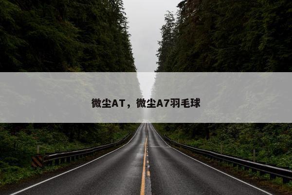 微尘AT，微尘A7羽毛球