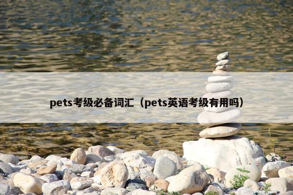 pets考级必备词汇（pets英语考级有用吗）