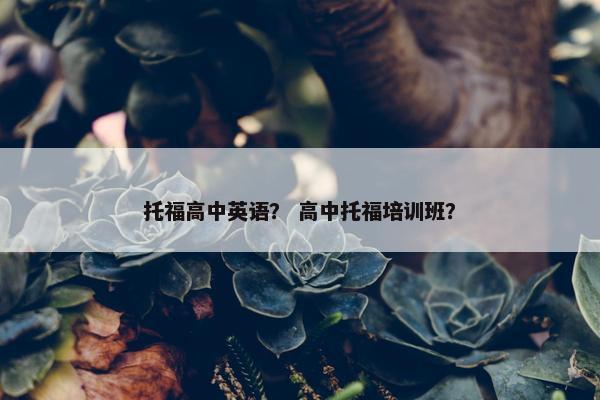 托福高中英语？ 高中托福培训班？