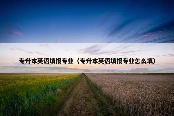 专升本英语填报专业（专升本英语填报专业怎么填）