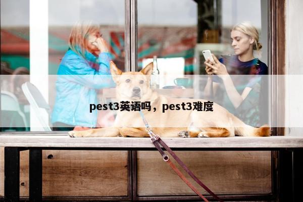pest3英语吗，pest3难度