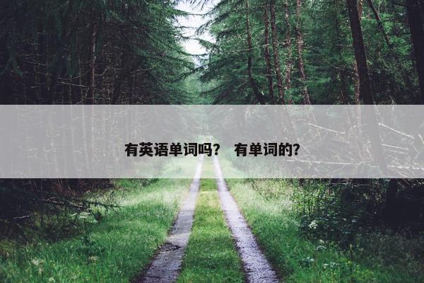 有英语单词吗？ 有单词的？