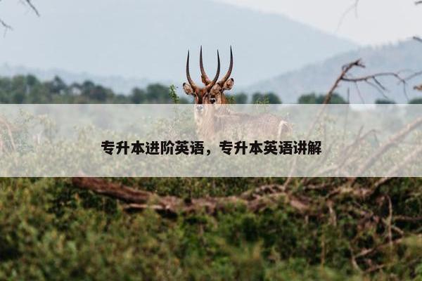 专升本进阶英语，专升本英语讲解