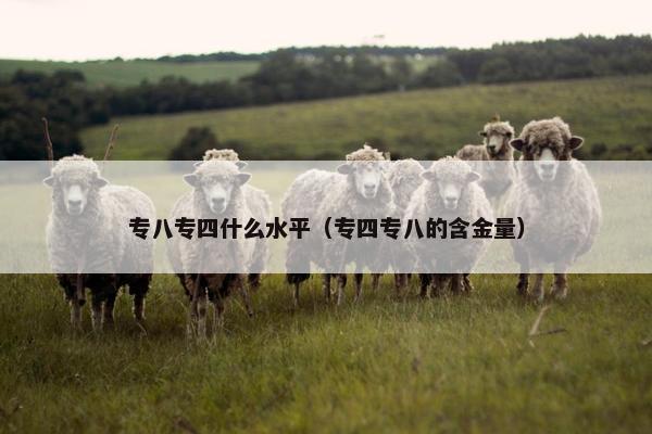 专八专四什么水平（专四专八的含金量）