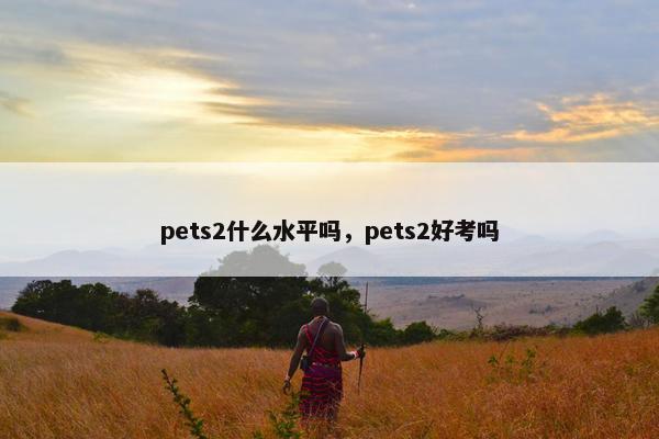 pets2什么水平吗，pets2好考吗