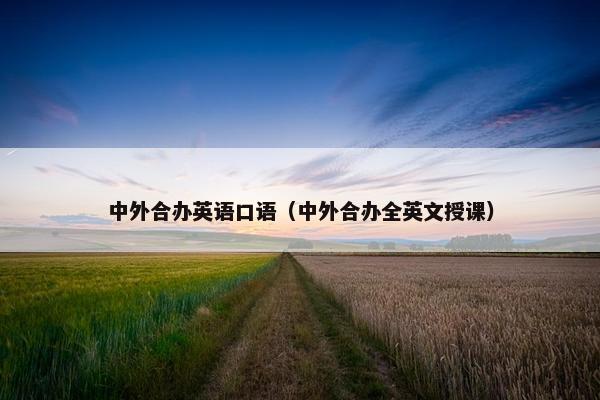 中外合办英语口语（中外合办全英文授课）